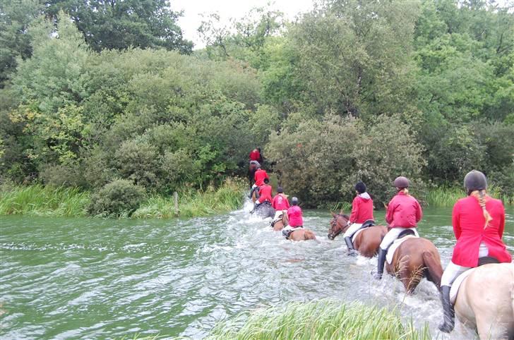 Jagt Hjerl hede - august 08 billede 14