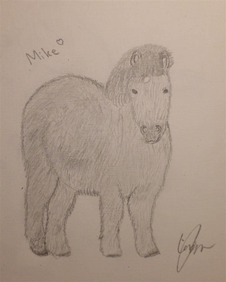 Mine tegninger - Dette er en tegning af CJ's gamle pony Mike. billede 9