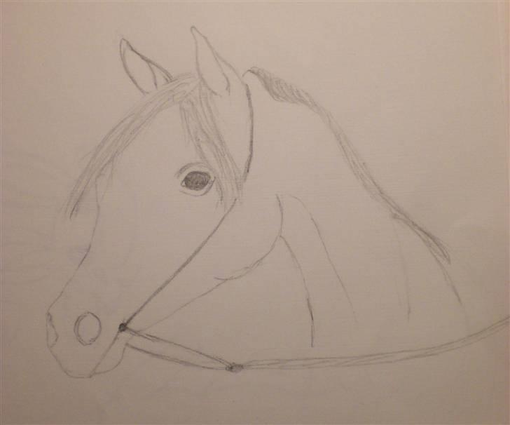 Mine tegninger - Dette er en tegning af en araber, som jeg ikke er færdig med. billede 11