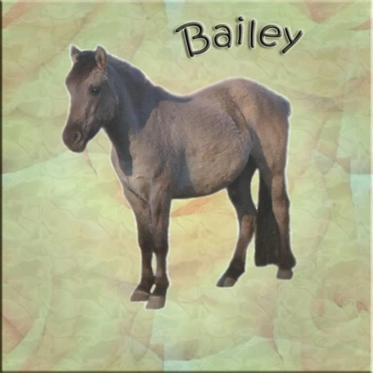 Tegninger og billeder jeg har leget lidt med... - Min lille Muledreng  <3 billede 16