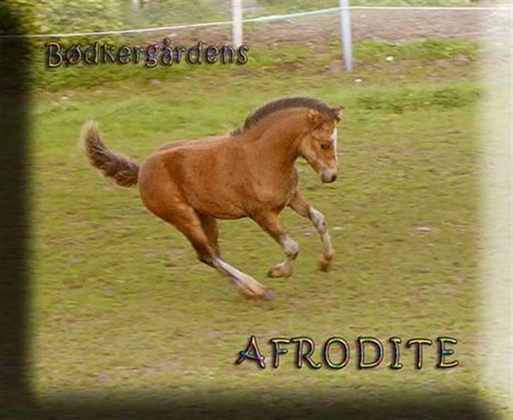 Tegninger og billeder jeg har leget lidt med... - Dittemusen  <3 billede 17