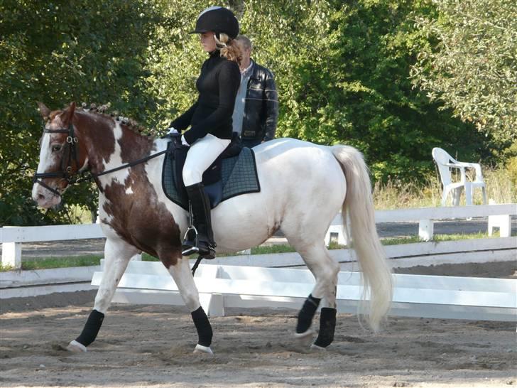 Lyng Ridecenter - Fie Wendel & Picasso billede 13