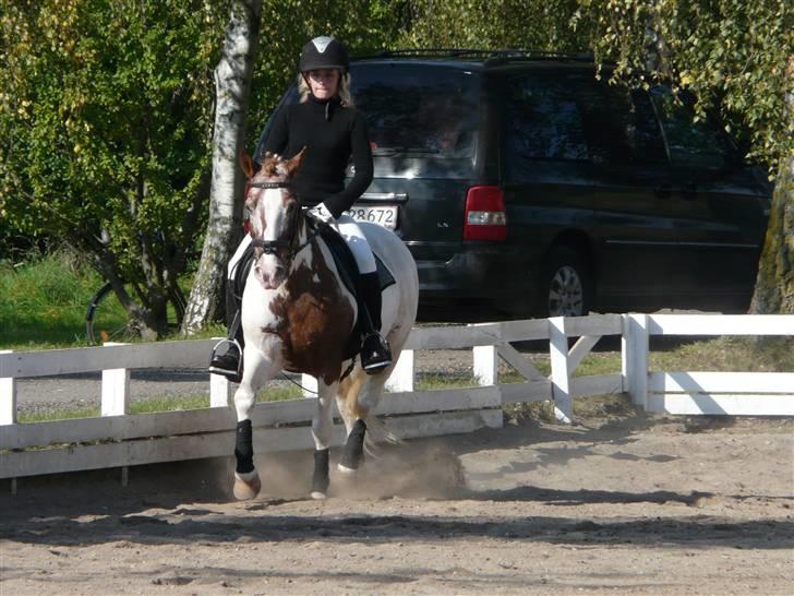 Lyng Ridecenter - Fie Wendel & Picasso billede 17