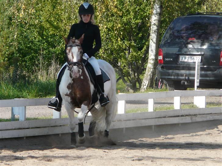 Lyng Ridecenter - Fie Wendel & Picasso billede 18