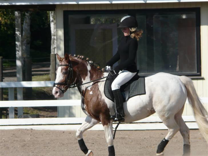 Lyng Ridecenter - Fie Wendel & Picasso billede 19