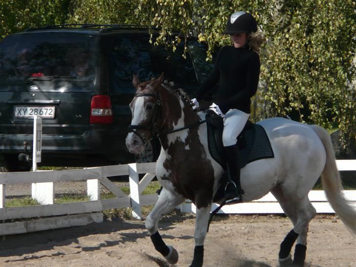 Lyng Ridecenter - Fie Wendel & Picasso billede 20