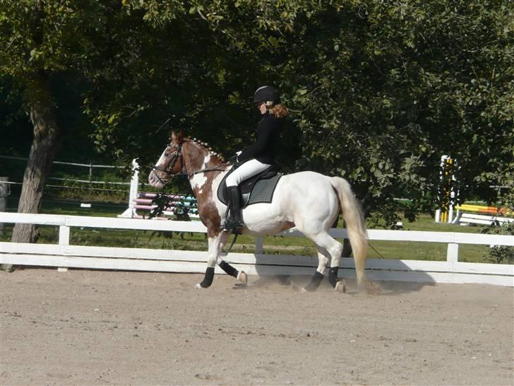 Lyng Ridecenter - Fie Wendel & Picasso billede 22