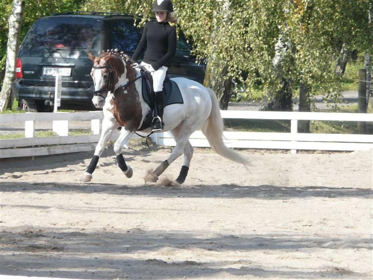 Lyng Ridecenter - Fie Wendel & Picasso billede 29