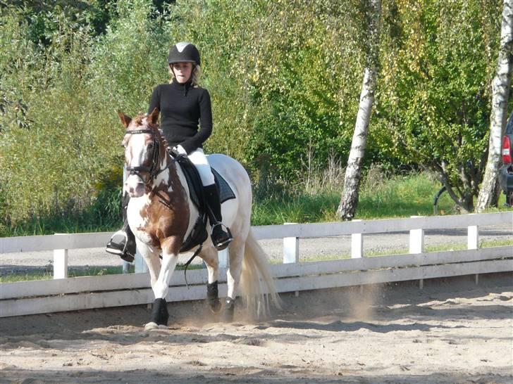 Lyng Ridecenter - Fie Wendel & Picasso billede 30