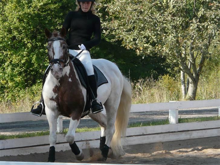 Lyng Ridecenter - Fie Wendel & Picasso billede 31