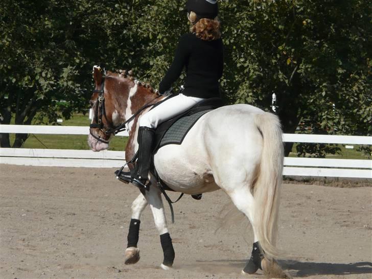 Lyng Ridecenter - Fie Wendel & Picasso billede 33