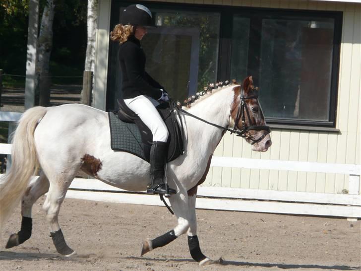 Lyng Ridecenter - Fie Wendel & Picasso billede 43