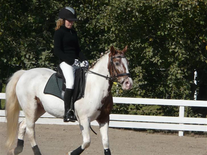 Lyng Ridecenter - Fie Wendel & Picasso billede 44