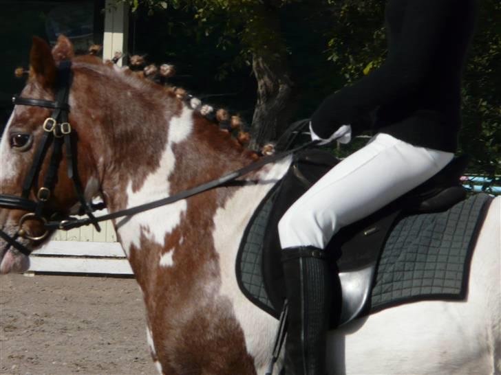 Lyng Ridecenter - Fie Wendel & Picasso billede 47