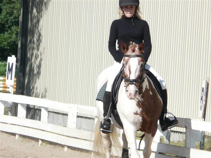 Lyng Ridecenter - Fie Wendel & Picasso billede 51