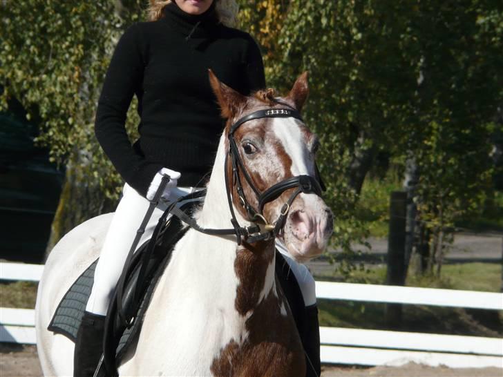 Lyng Ridecenter - Fie Wendel & Picasso billede 58