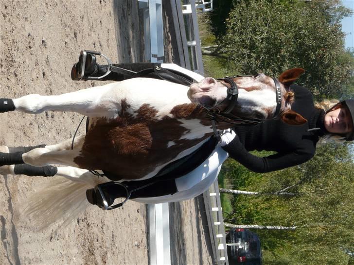 Lyng Ridecenter - Fie Wendel & Picasso billede 59