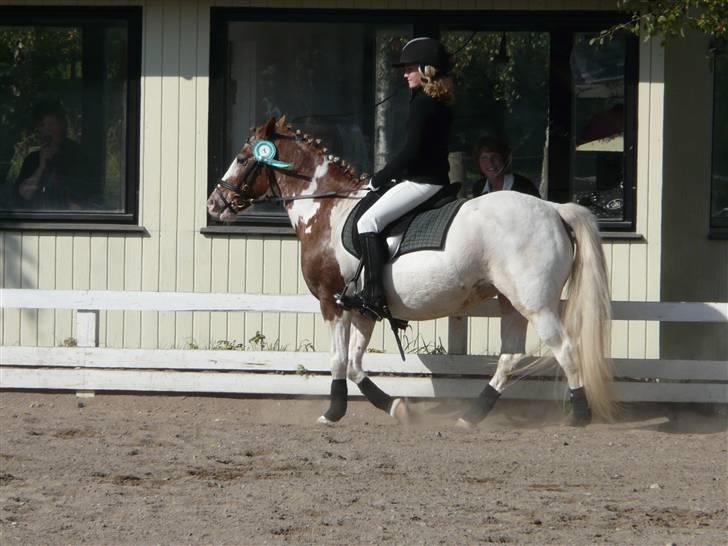 Lyng Ridecenter - Fie Wendel & Picasso billede 60