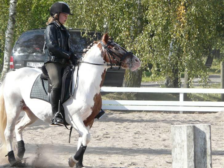 Lyng Ridecenter - Fie Wendel & Picasso billede 63