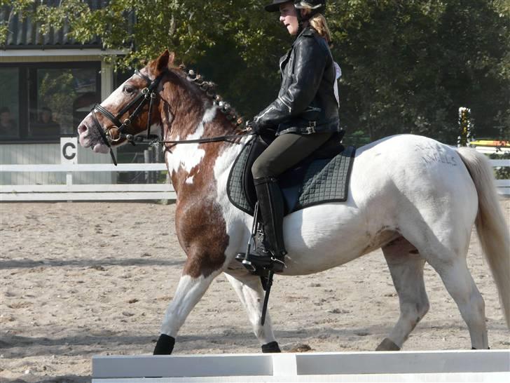 Lyng Ridecenter - Fie Wendel & Picasso billede 66