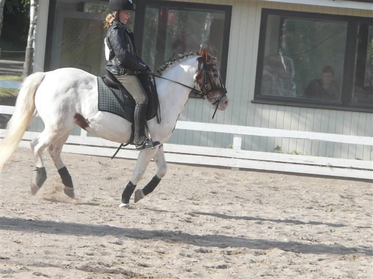 Lyng Ridecenter - Fie Wendel & Picasso billede 69