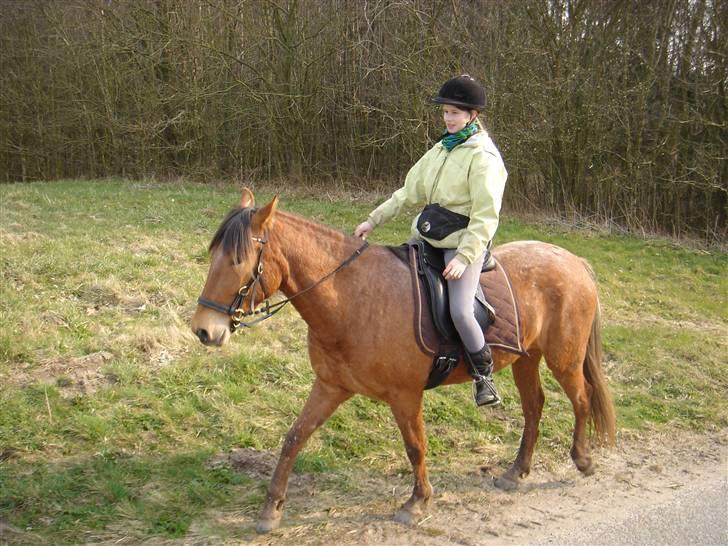 Hestevognstur billede 55