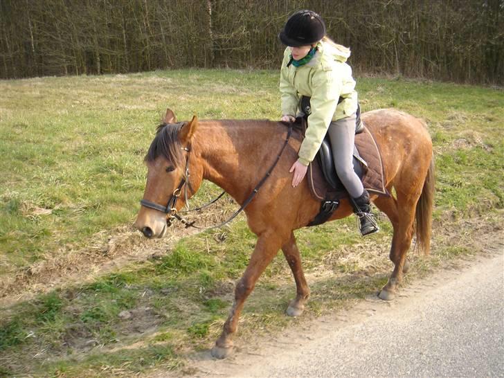 Hestevognstur billede 56