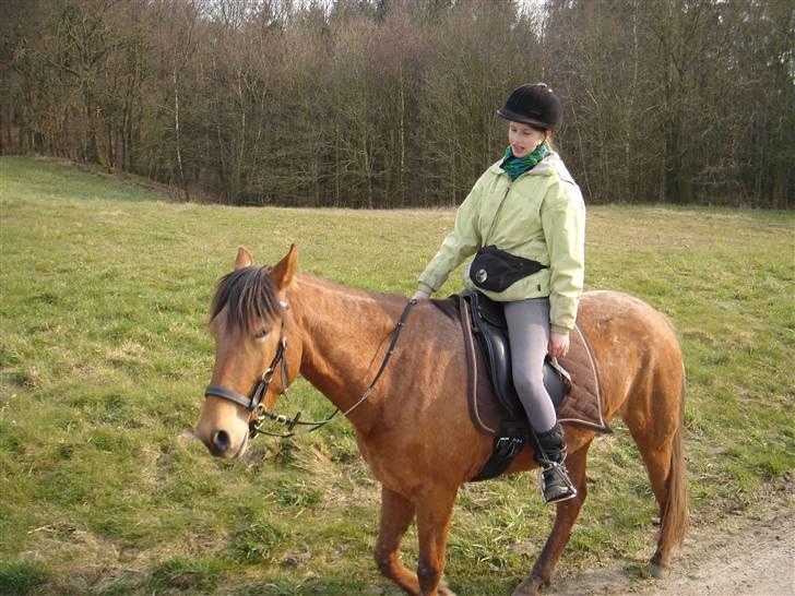 Hestevognstur billede 57