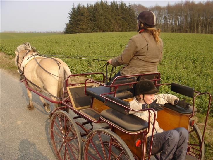 Hestevognstur billede 59
