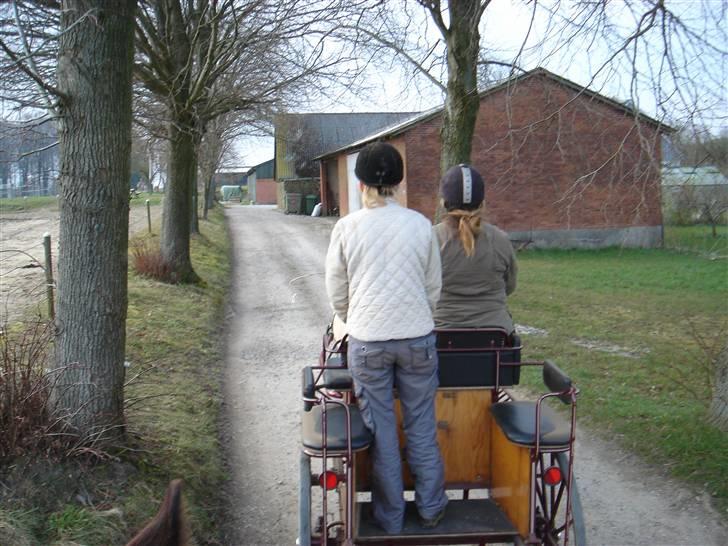 Hestevognstur billede 71