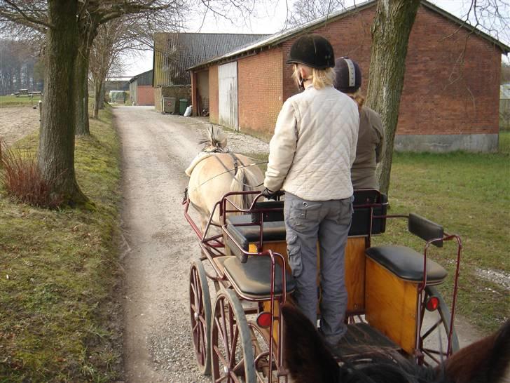 Hestevognstur billede 72