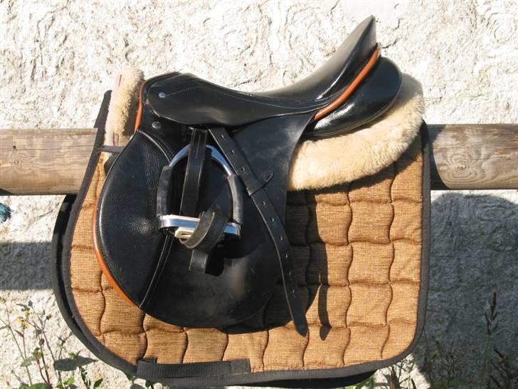 Passier Young Winner - STJÅLET billede 2