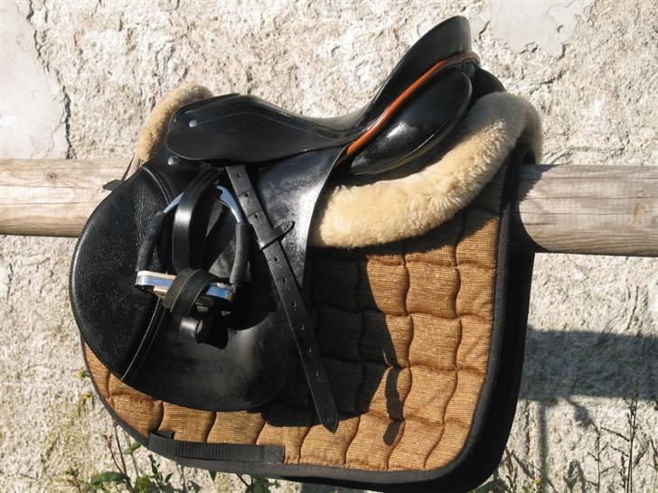 Passier Young Winner - STJÅLET billede 3