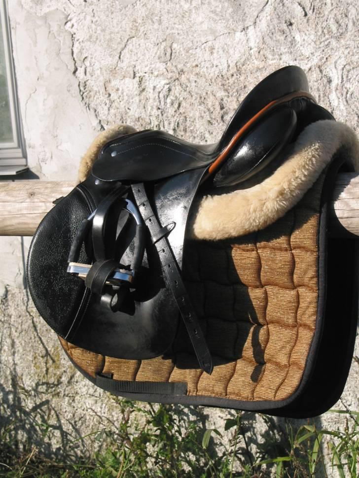 Passier Young Winner - STJÅLET billede 4