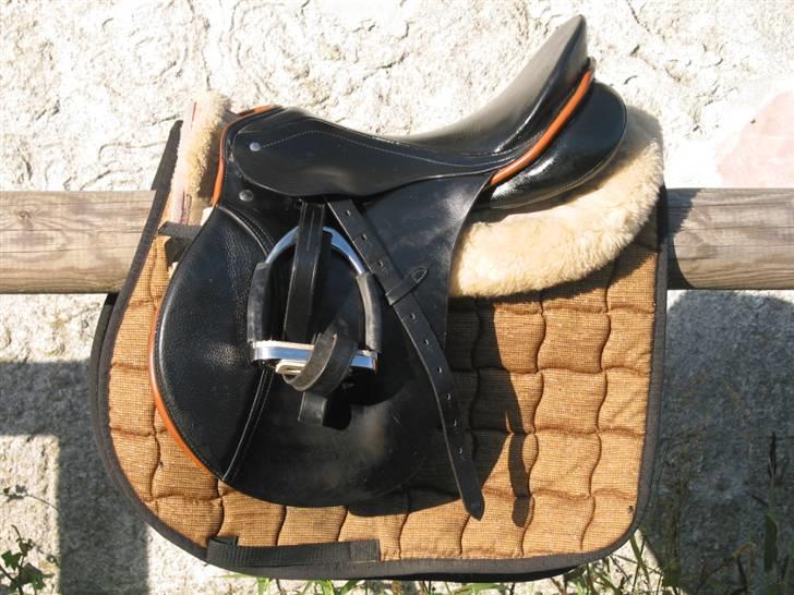 Passier Young Winner - STJÅLET billede 1