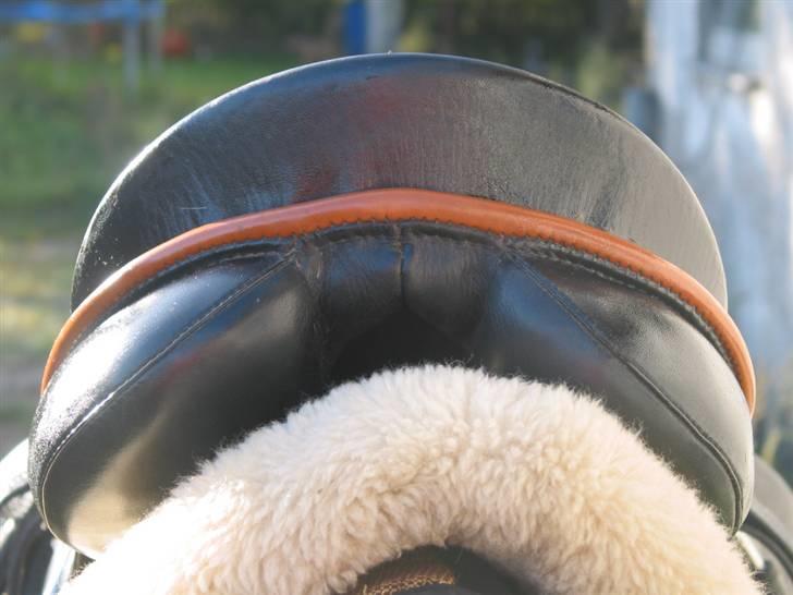 Passier Young Winner - STJÅLET billede 6