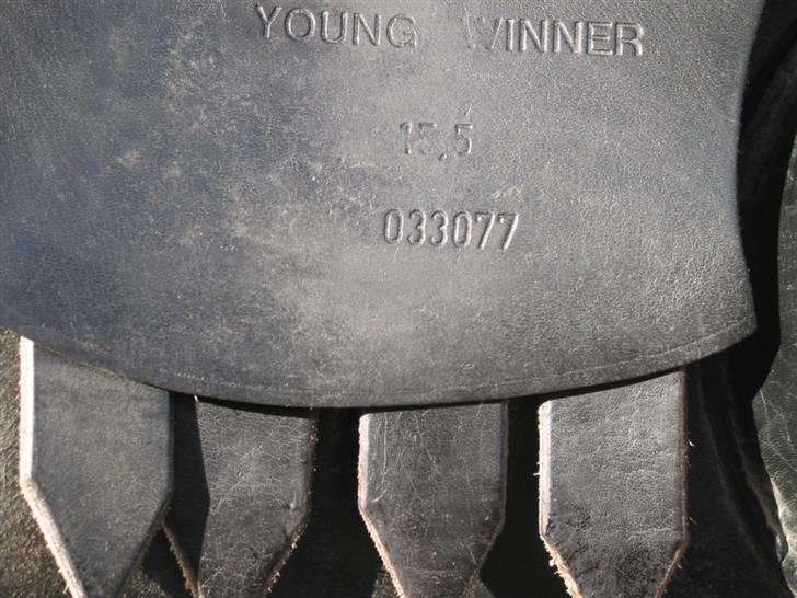 Passier Young Winner - STJÅLET billede 8