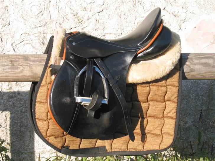 Passier Young Winner - STJÅLET billede 9