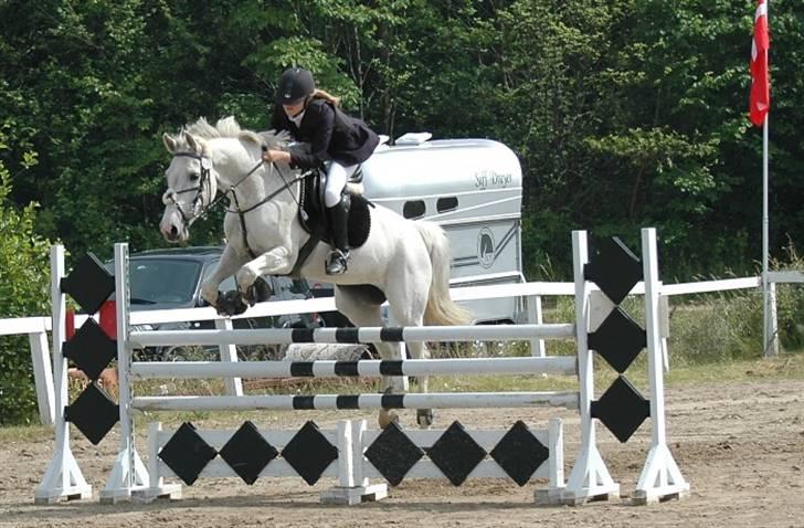 Tidligere hest, Lidria billede 2