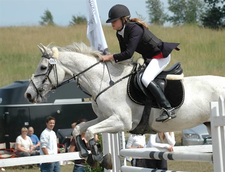 Tidligere hest, Lidria billede 4