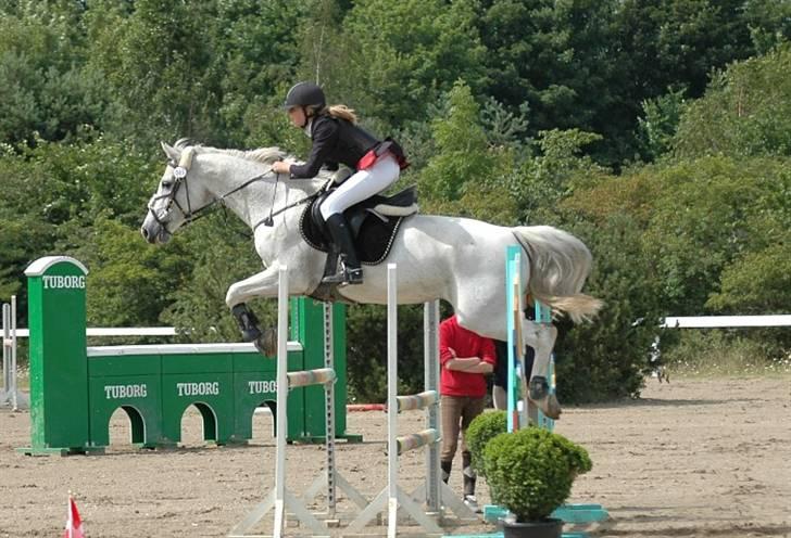 Tidligere hest, Lidria billede 6