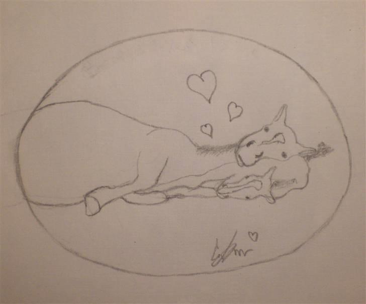 Mine tegninger - Dette er en tegning af CJ's Beauty og dens kommende følle. (Det er bare et gæt på hvordan følles blis kunne se ud) billede 14