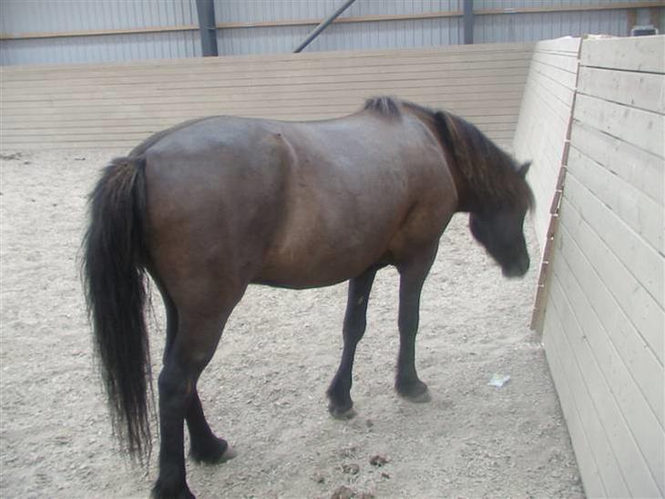 {{currentPhoto.altText}} billede {{currentPhoto.number}}