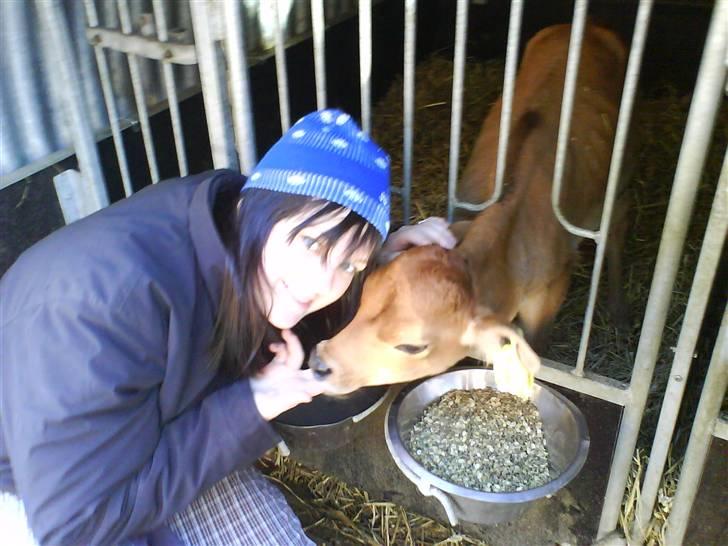 Lægaard Landbrugsskole <33 billede 1