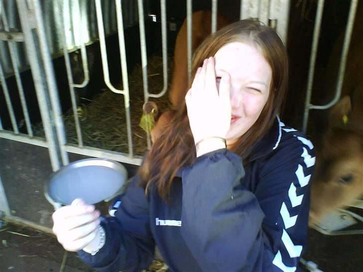 Lægaard Landbrugsskole <33 - Nuuurh, Tjense-piihn fik et lille mys <'3 billede 3