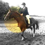 Billeder jeg har lavet