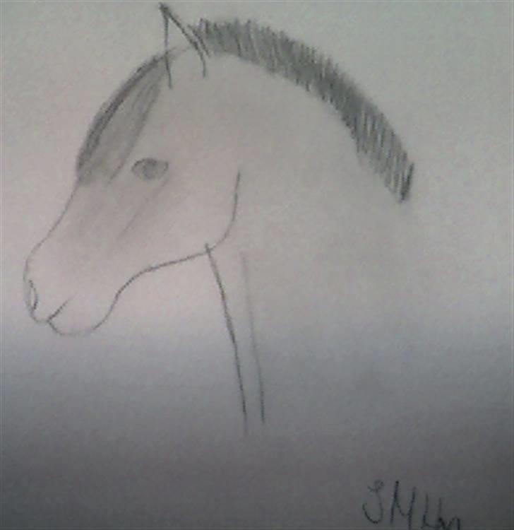 Tegnede billeder billede 3