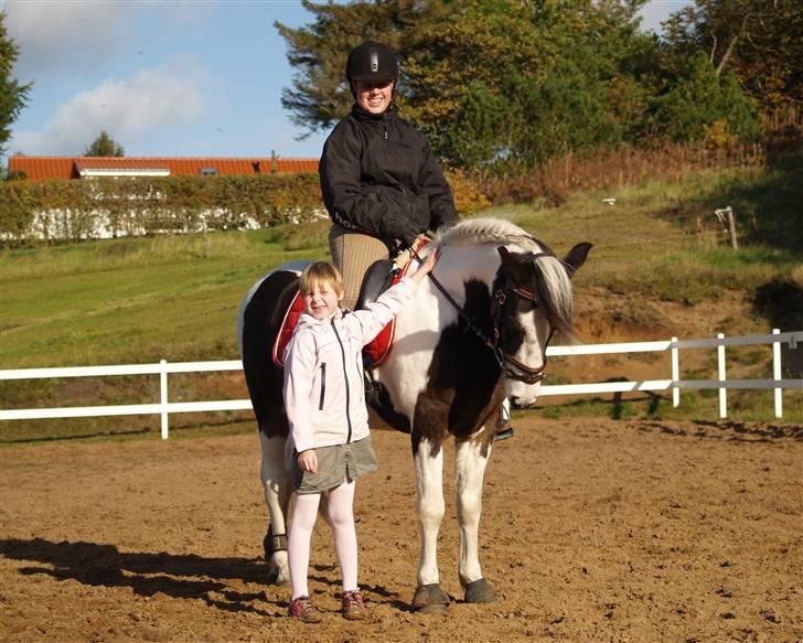 En Børnevenlig pony <3  billede 1