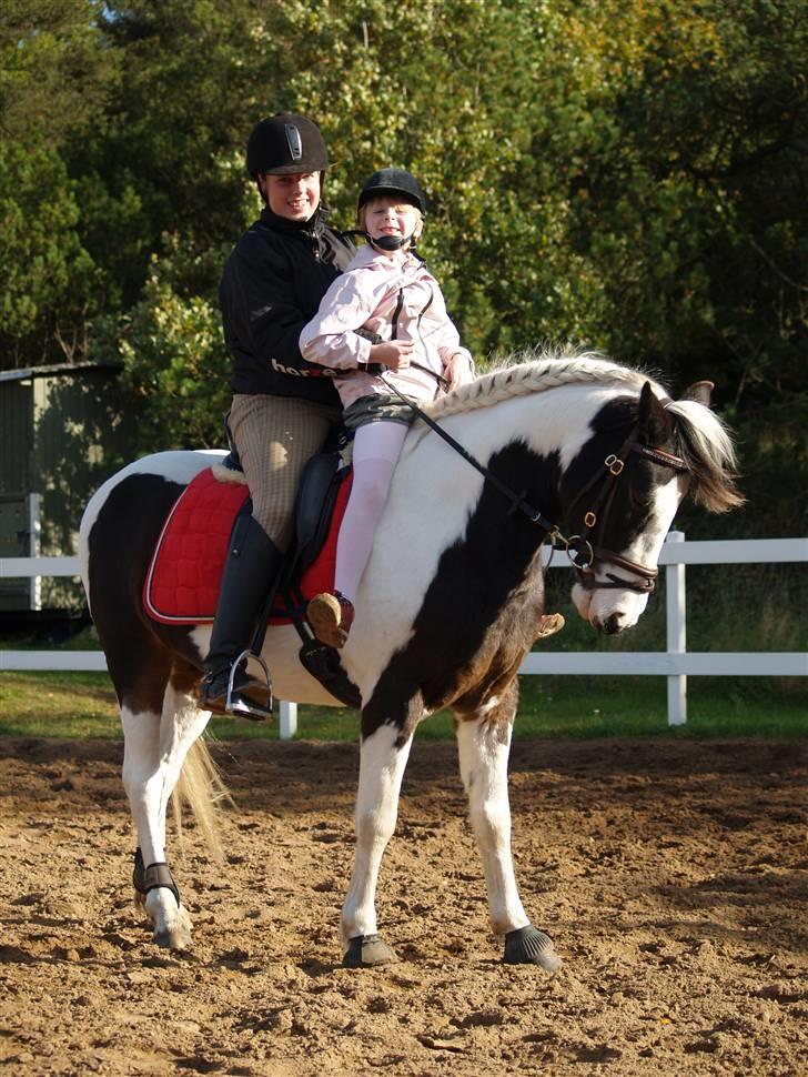 En Børnevenlig pony <3  billede 3