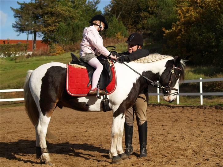 En Børnevenlig pony <3  billede 4